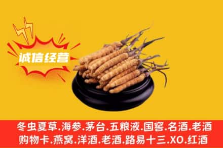 泰州回收冬虫夏草